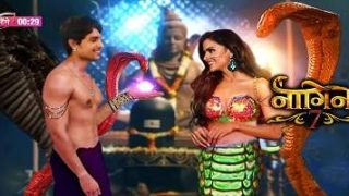 Naagin Season 7 Upcoming Twists, Spoilers, and Daily Updates